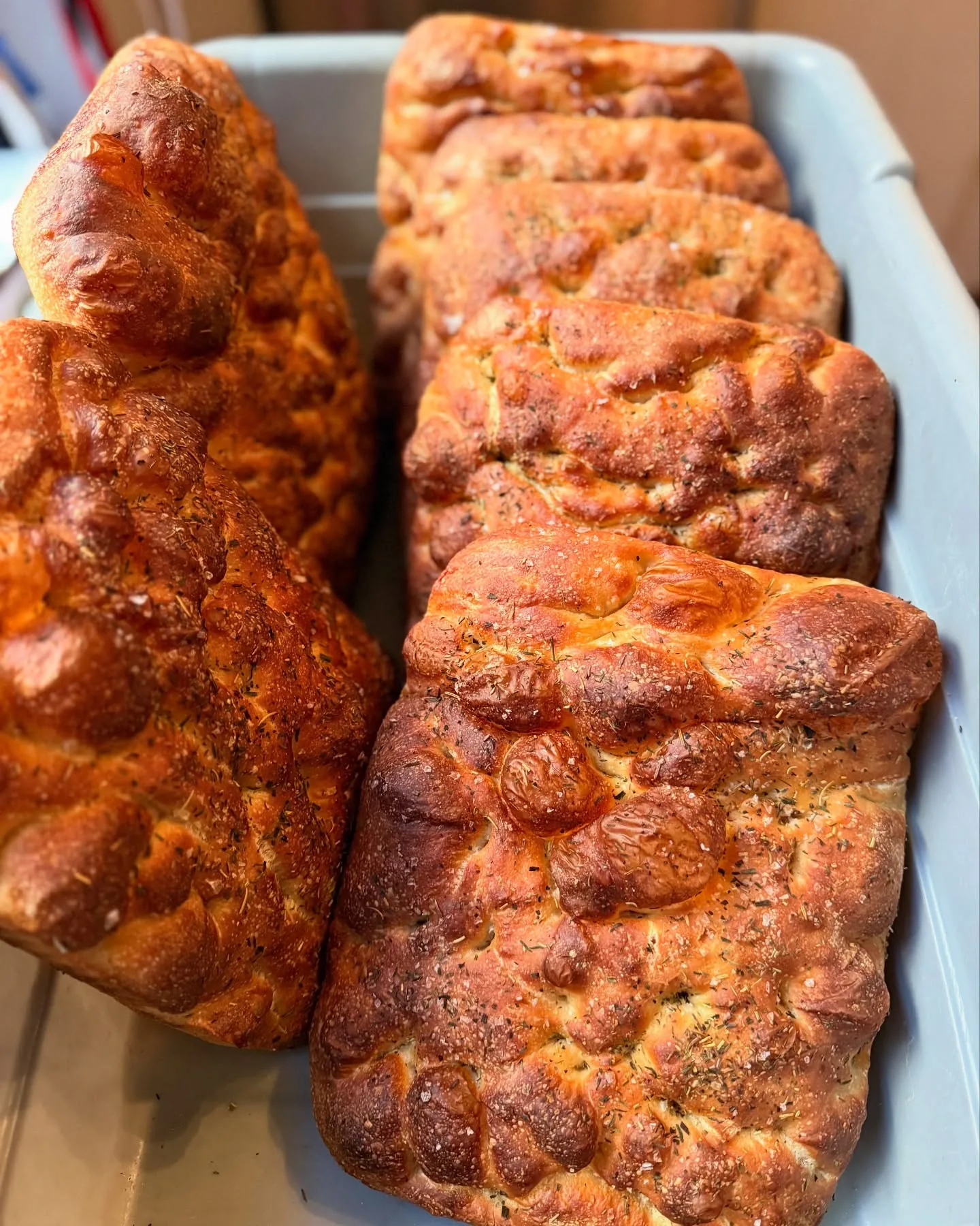 Golden NDF focaccia fresh from the oven